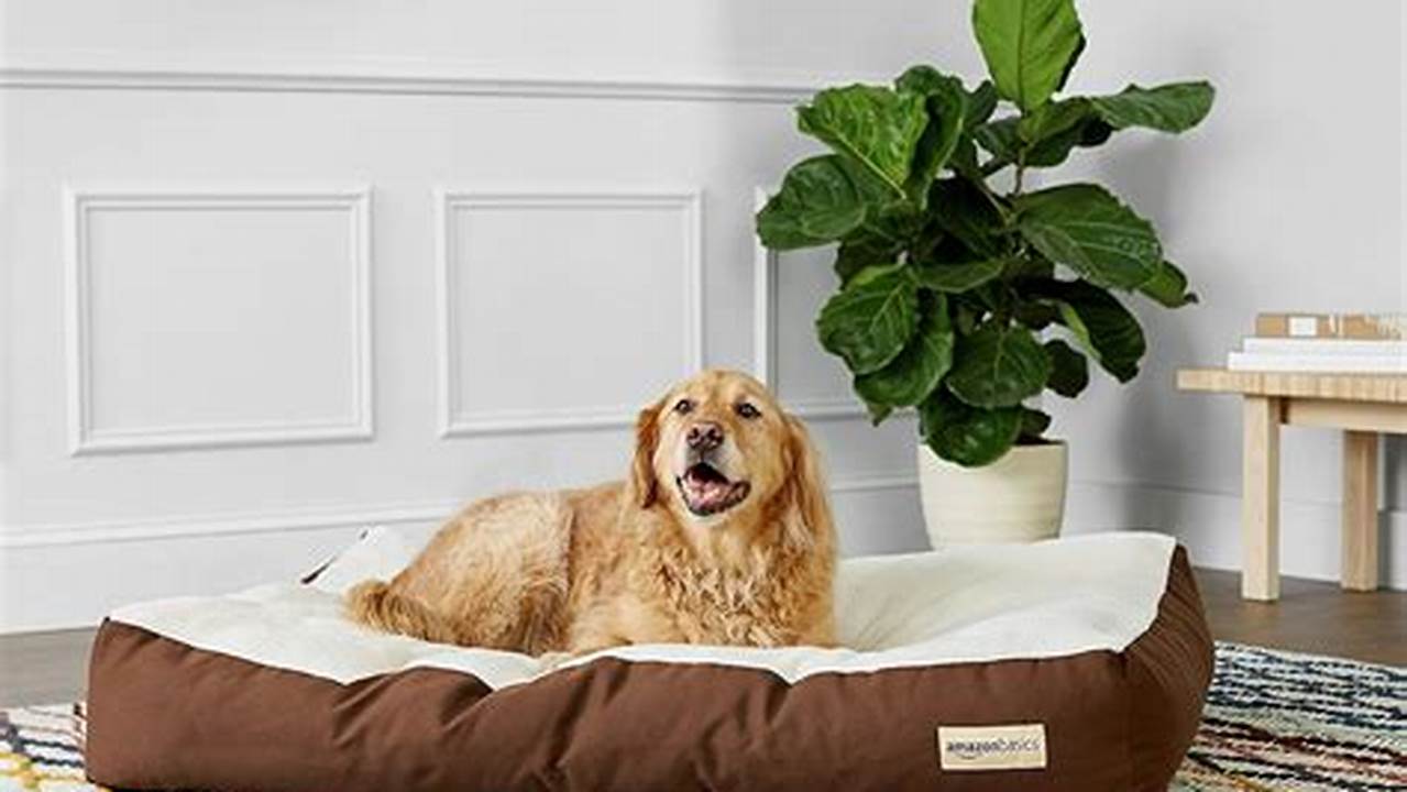 Best Large Dog Beds 2024