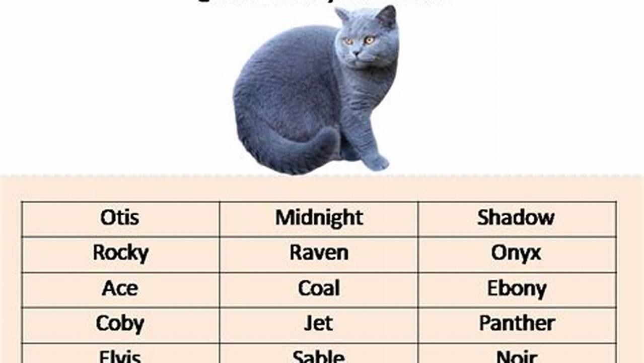 Best Male Cat Names 2024