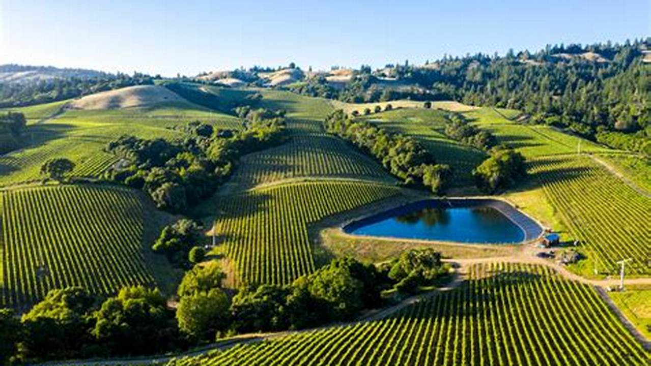 Best Of Napa Valley 2024