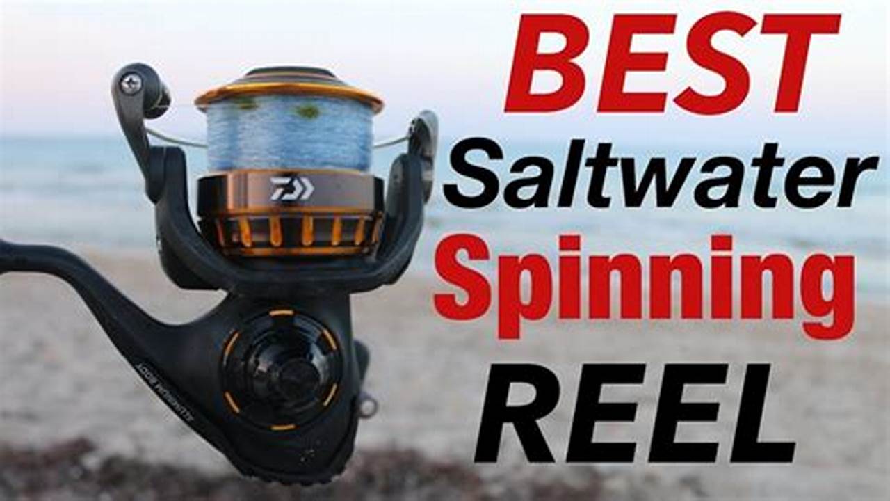 Best Saltwater Spinning Reels 2024