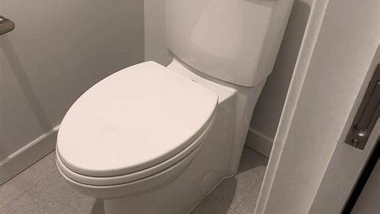Best Skirted Toilet 2024