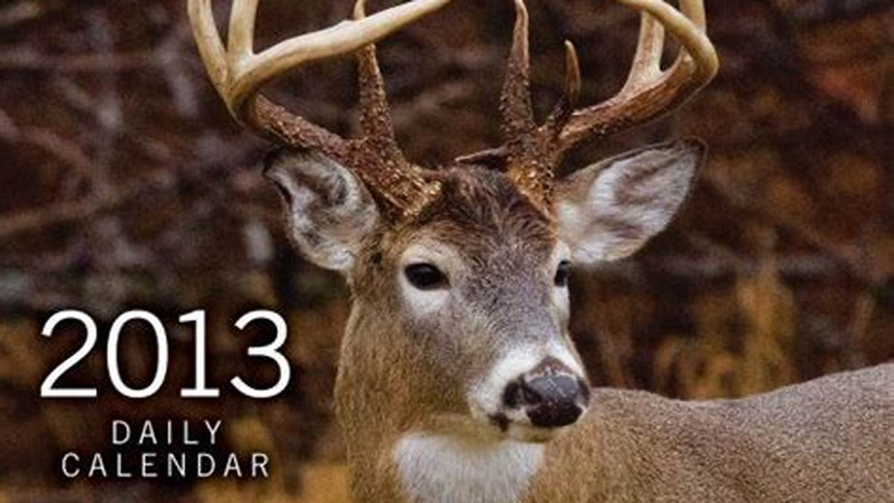 Best Time To Hunt Whitetail Deer Calendar