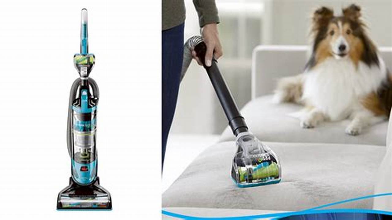 Best Vacuum 2024 For Pet Hair And Nails