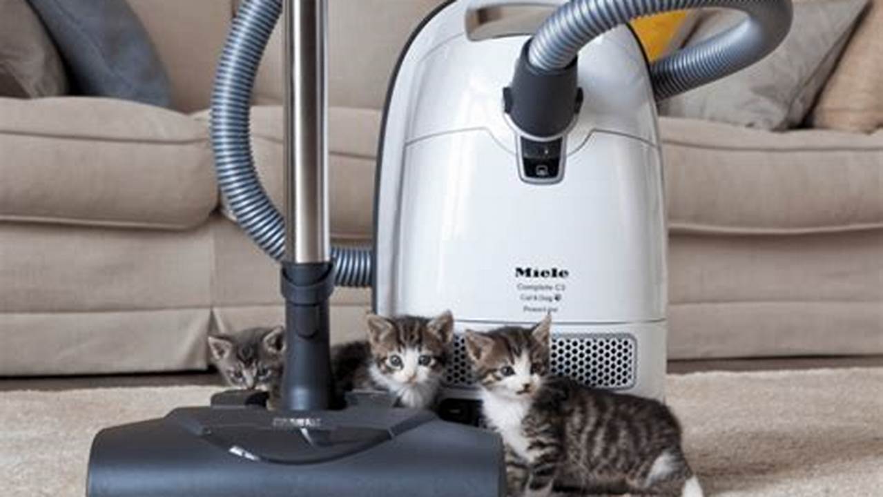 Best Vacuum Cleaner For Pet Hair 2024