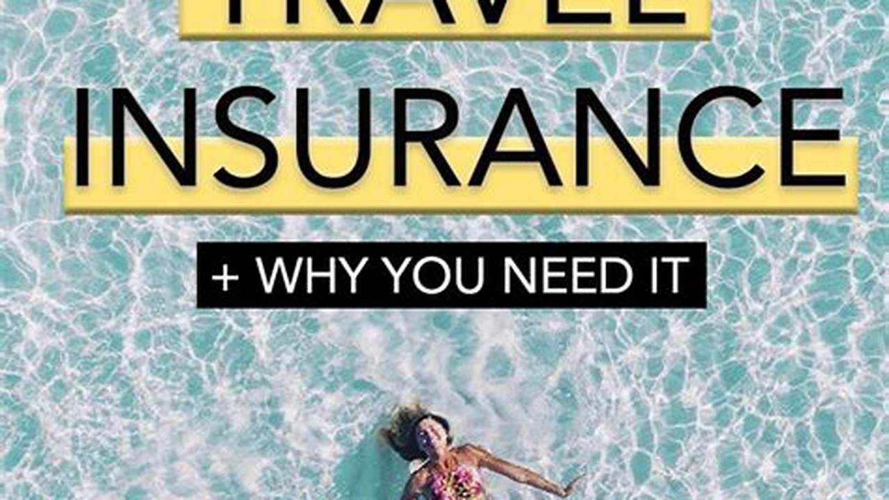 Unveiling the Best Insurance Options for Responsible Tourism Businesses