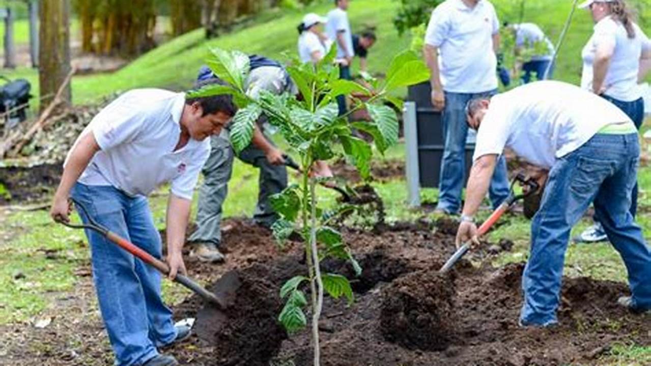 Biodiversity Conservation, Reforestation