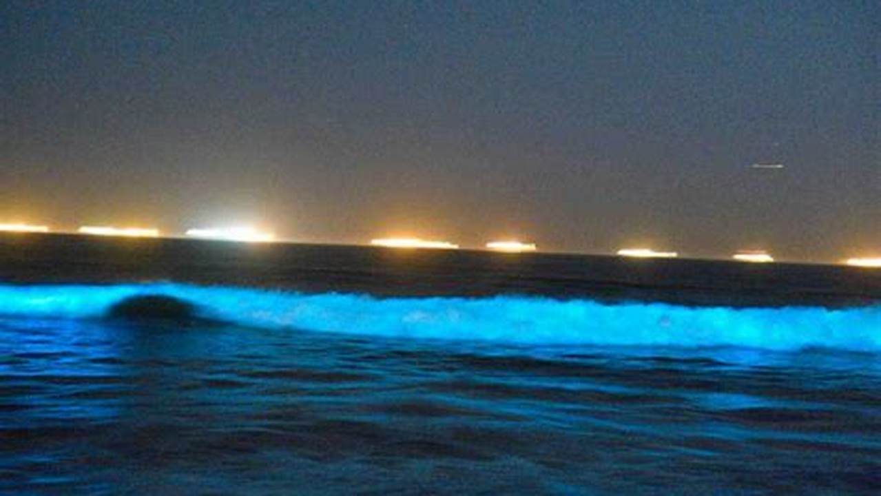 Bioluminescent Waves 2024 Schedule Tonight