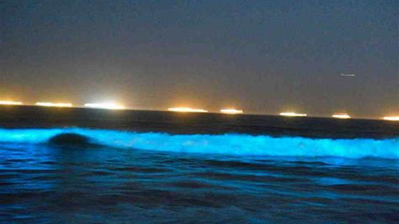 Bioluminescent Waves 2024 Southern California