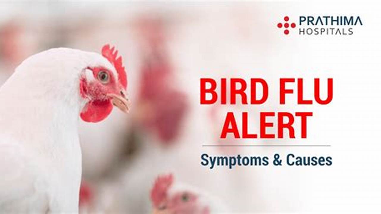 Bird Flu Australia 2024