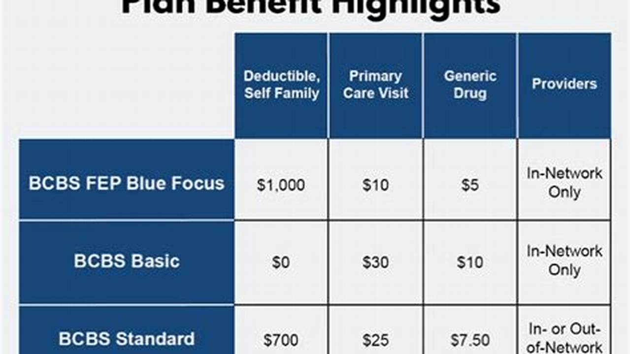 Blue Cross Blue Shield Federal Basic Plan Brochure 2024