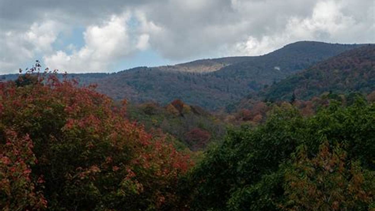 Blue Ridge Parkway Peak Fall Foliage 2024