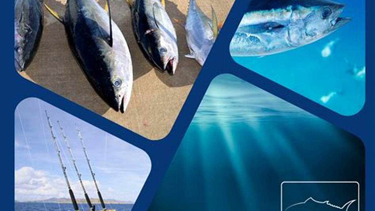 Bluefin Tuna Regulations 2024