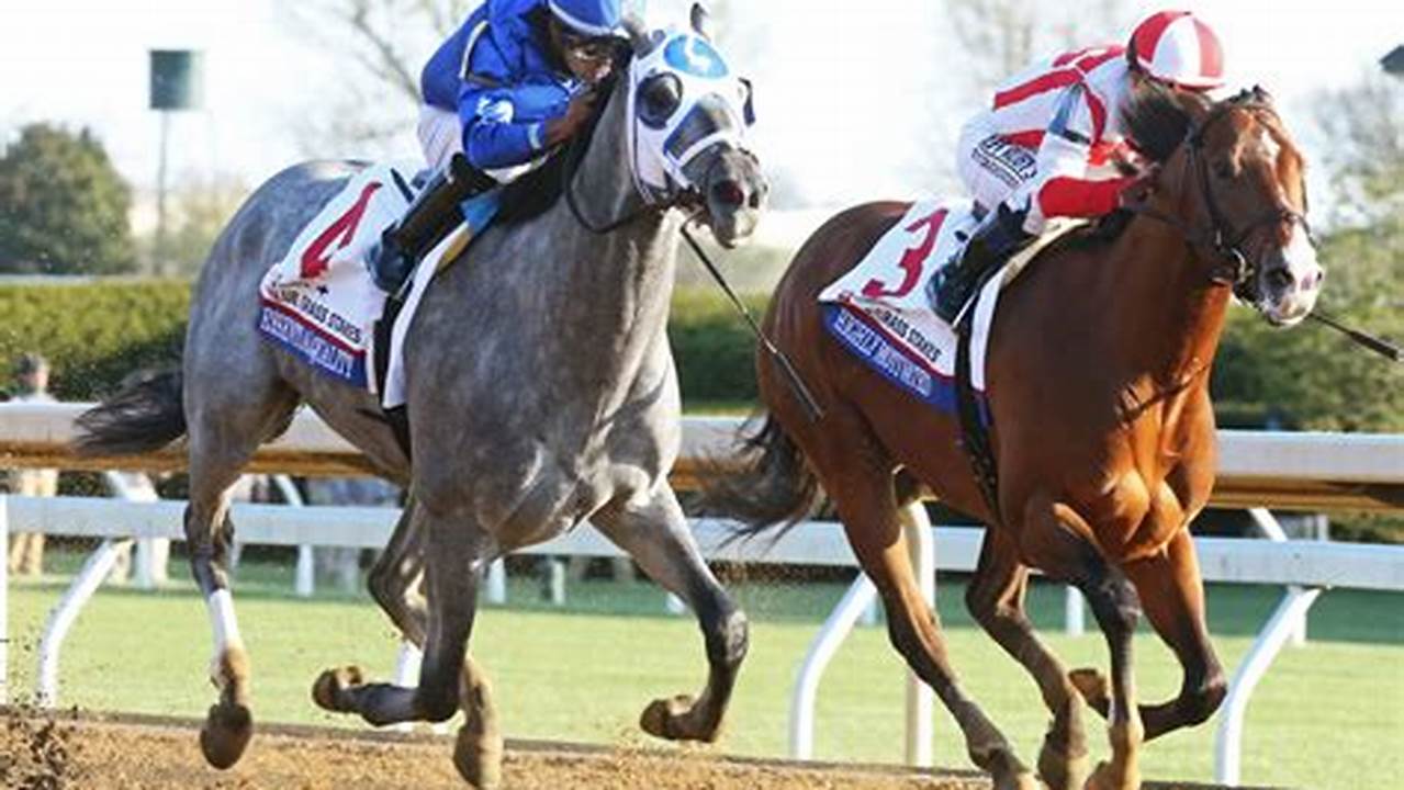 Bluegrass Stakes 2024 Results