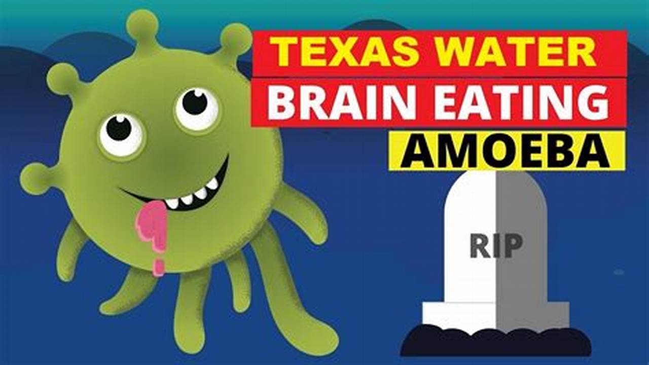 Brain-Eating Amoeba Texas 2024