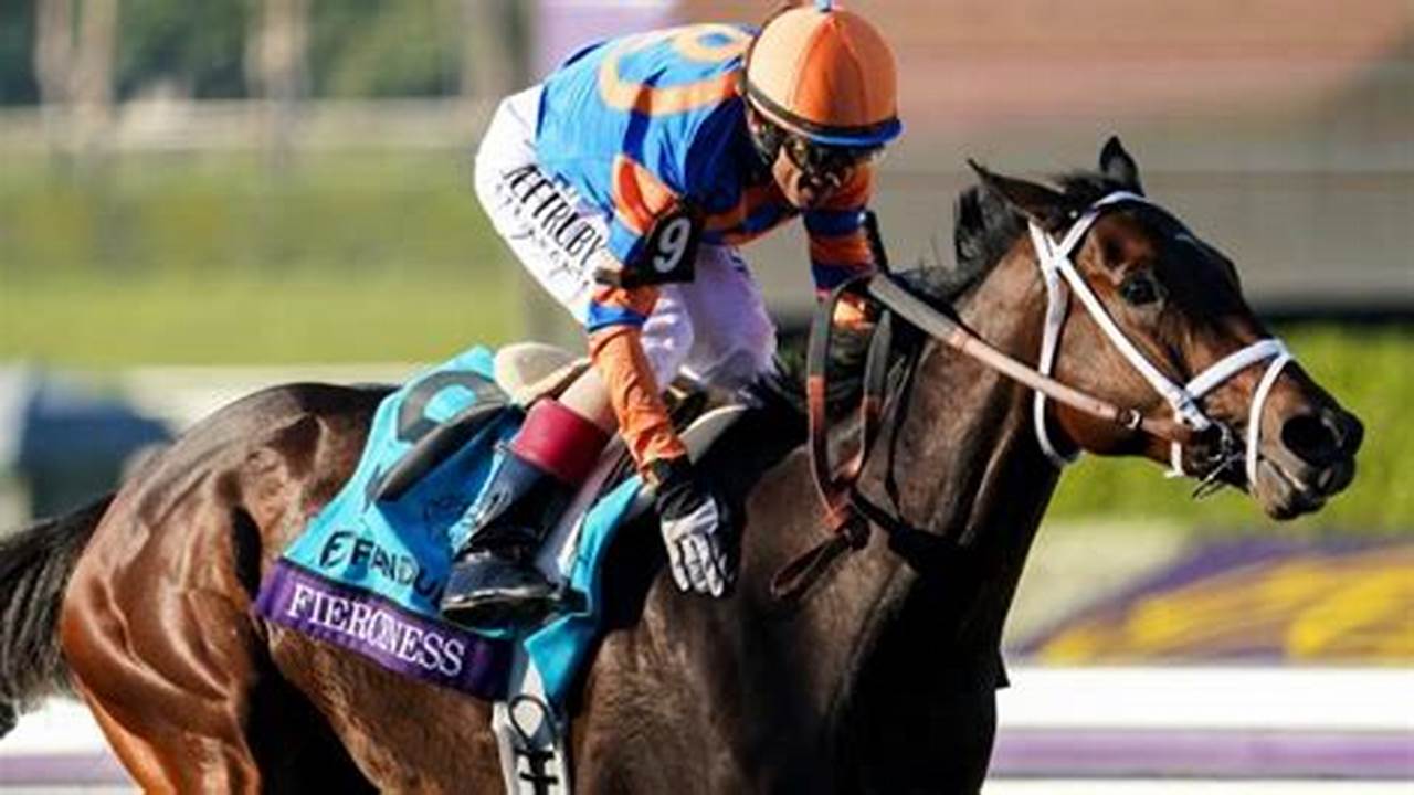 Breeders’ Cup Juvenile Champion, Fierceness, Finished As The Favorite In Derby Pool #2., 2024