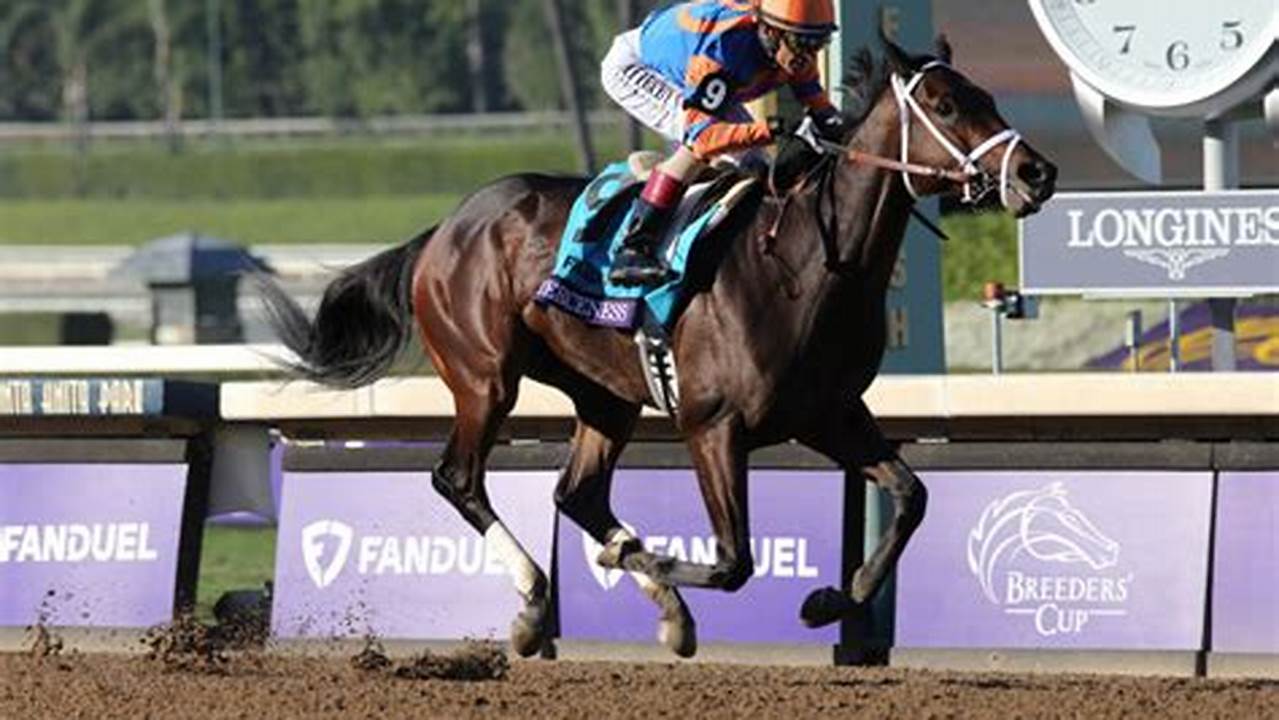 Breeders’ Cup Juvenile Champion, Fierceness, Finished As The Favorite In Derby., 2024
