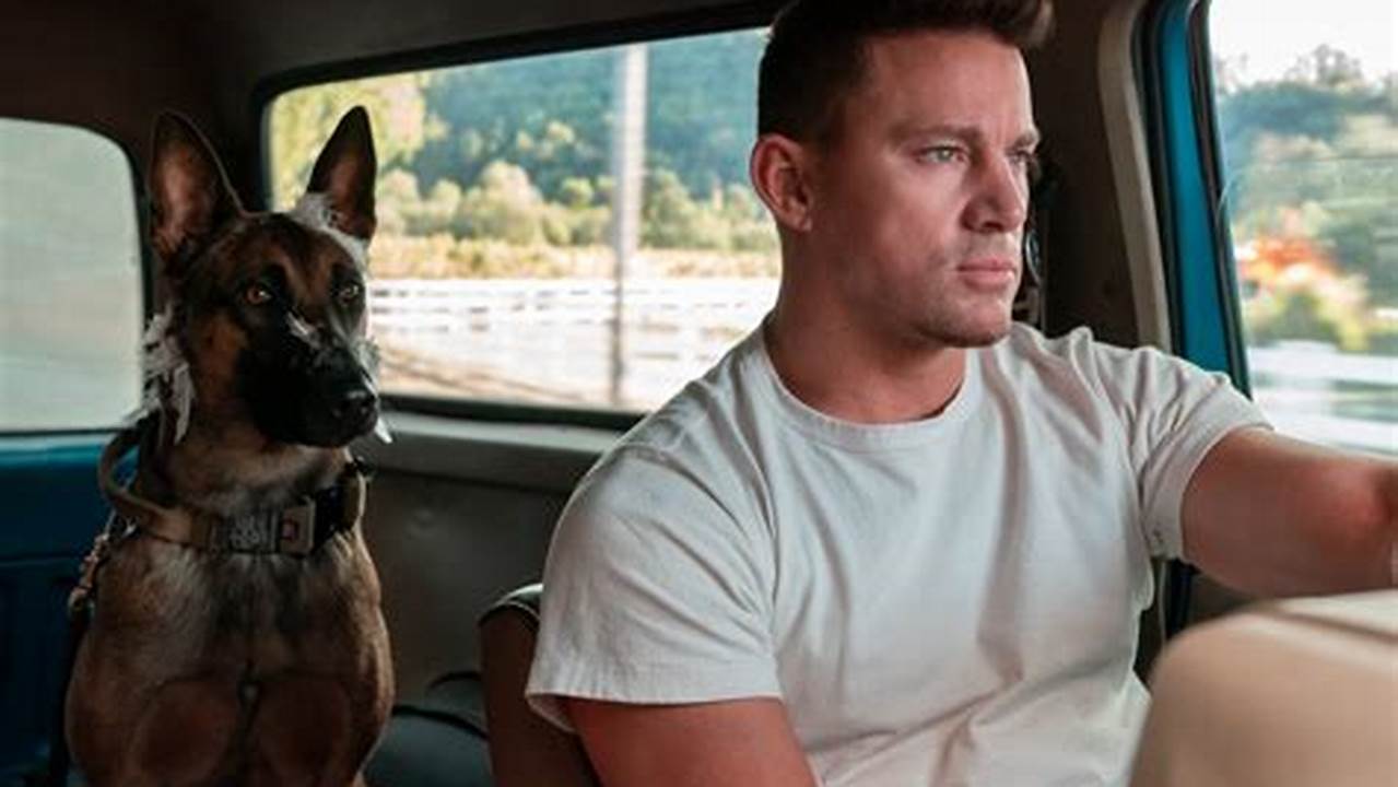 Briggs (Channing Tatum) And Lulu (A Belgian., 2024