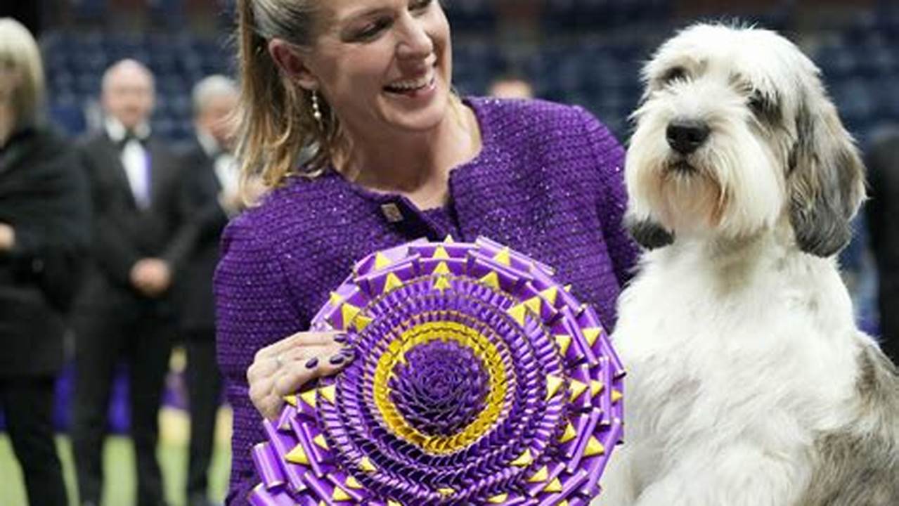 Buddy Holly Has Been Named Best In Show At The 147Th Edition Of The Westminster Kennel Club Dog Show From Arthur Ashe Stadium In Flushing, New York, On Tuesday., 2024