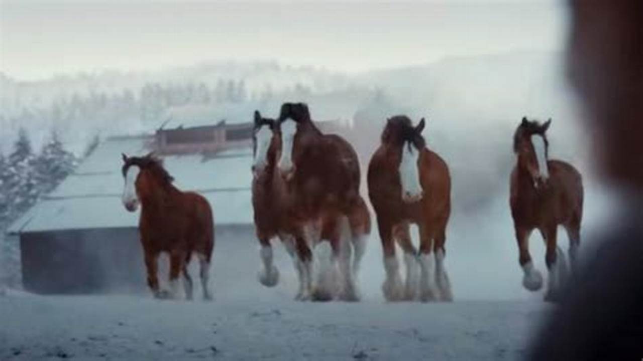 Budweiser Clydesdales 2024 Super Bowl Commercial