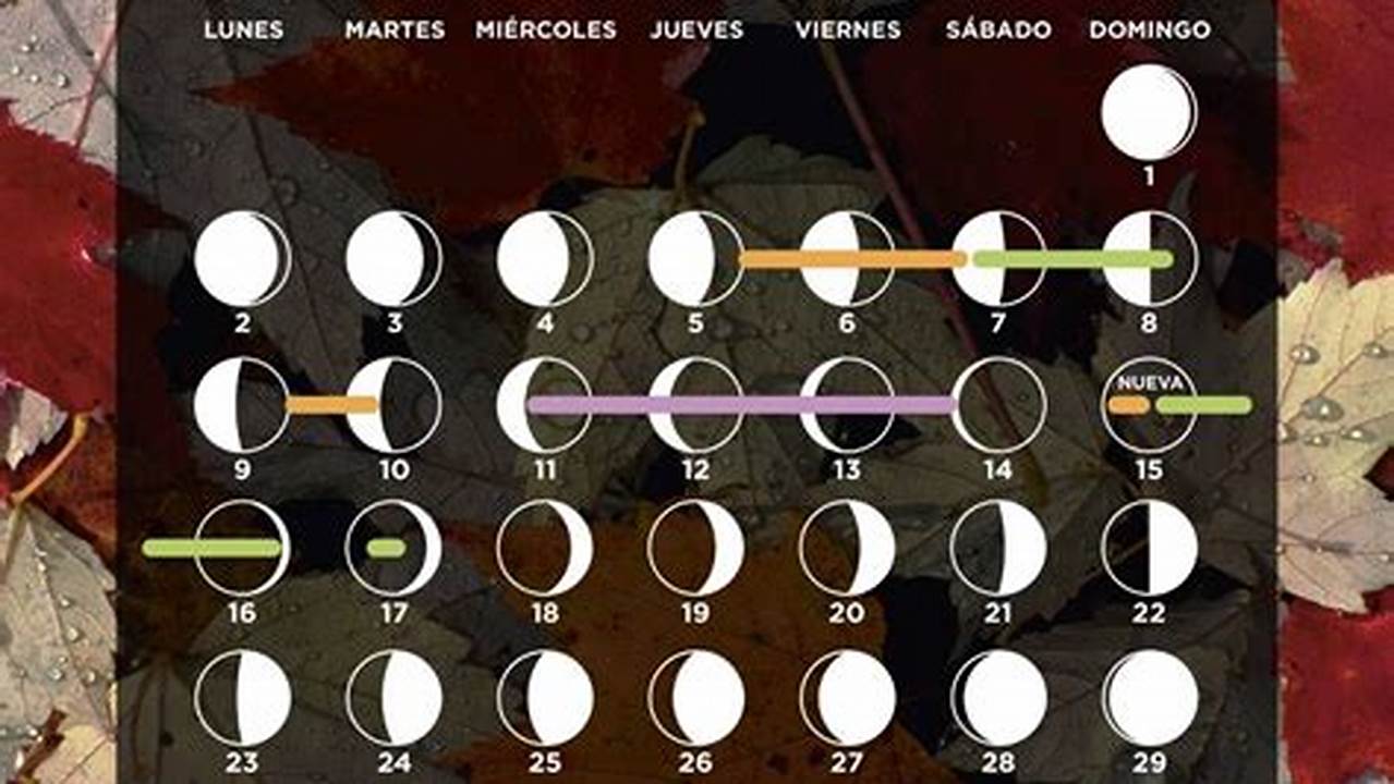 Calendario Lunar Para Cortarse El Cabello Noviembre 2024