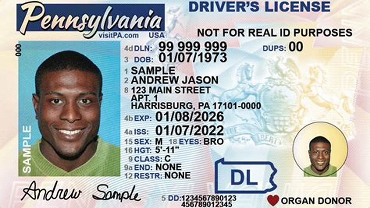 Can I Fly With Driver's License 2024