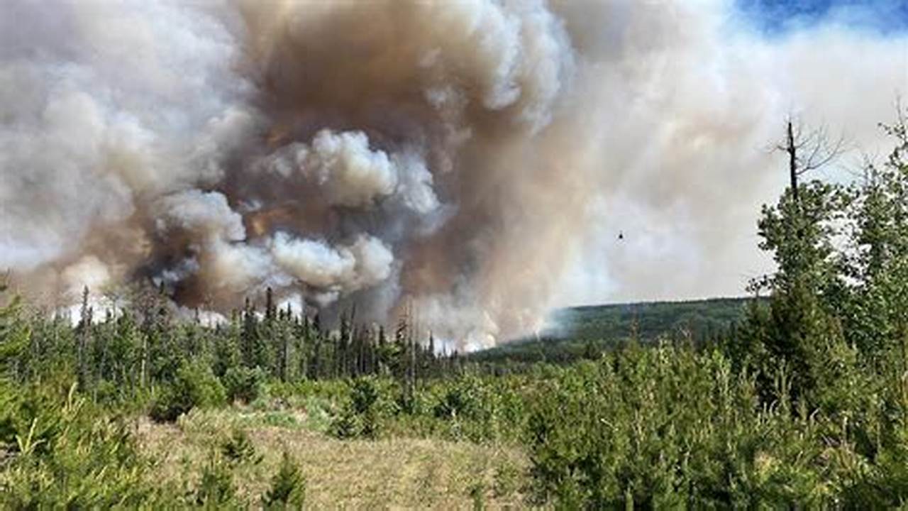 Canada Wildfires Cause 2024