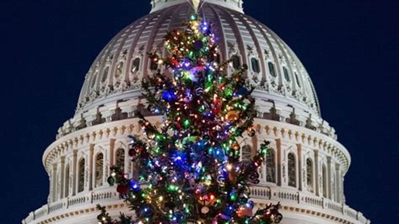 Capitol Christmas Tree Lighting 2024