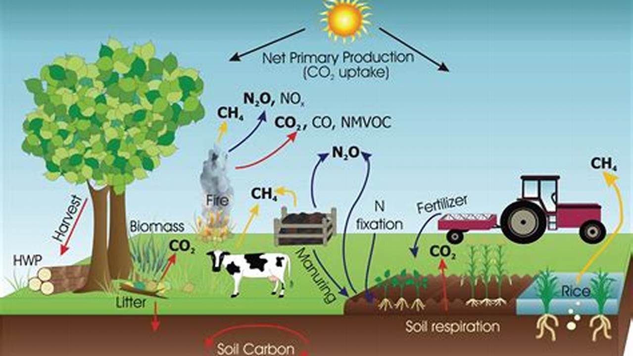 Carbon Sequestration, Farming Practices