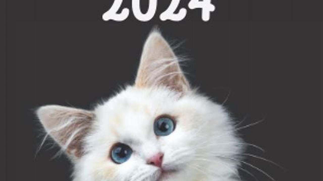 Cat 2024 Last Date