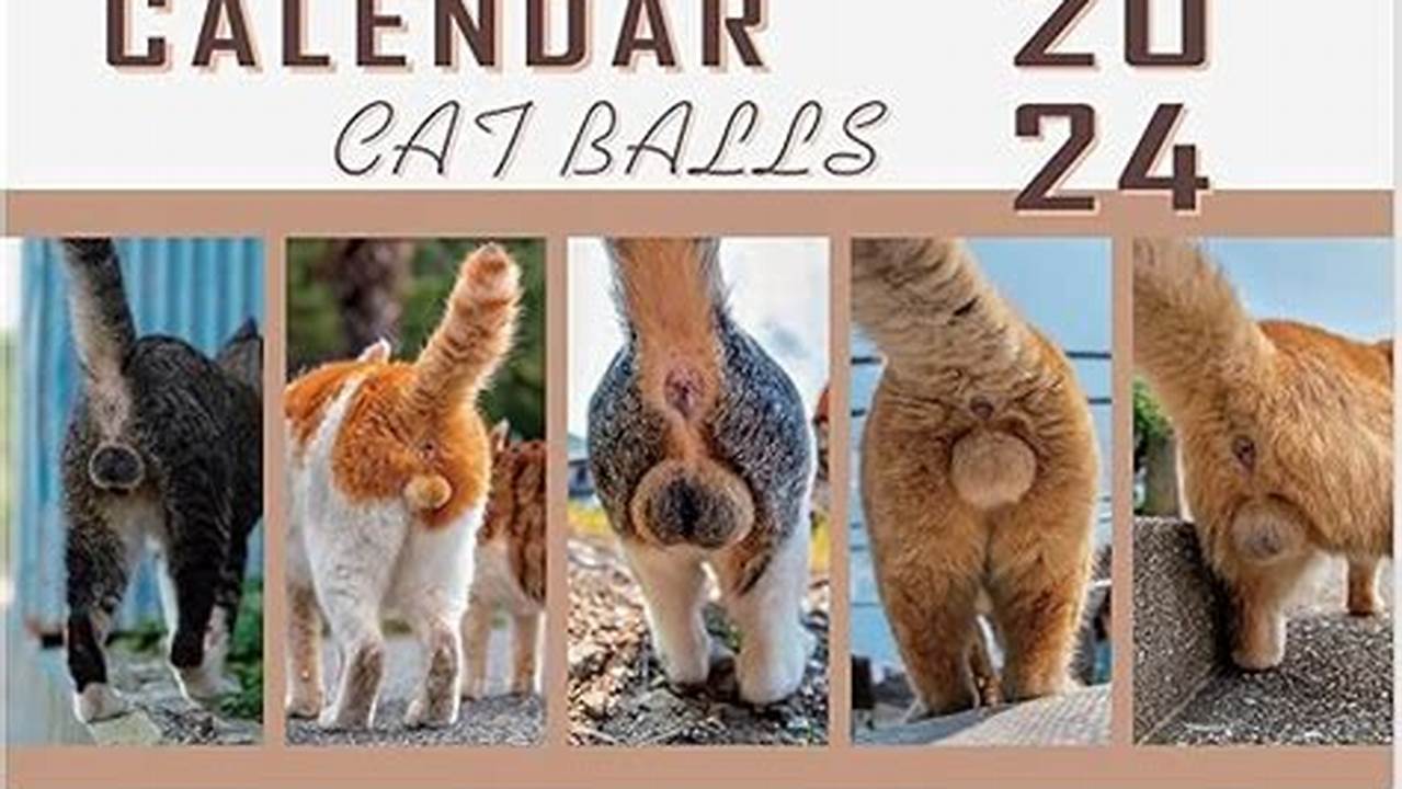 Cat Balls Calendar 2024