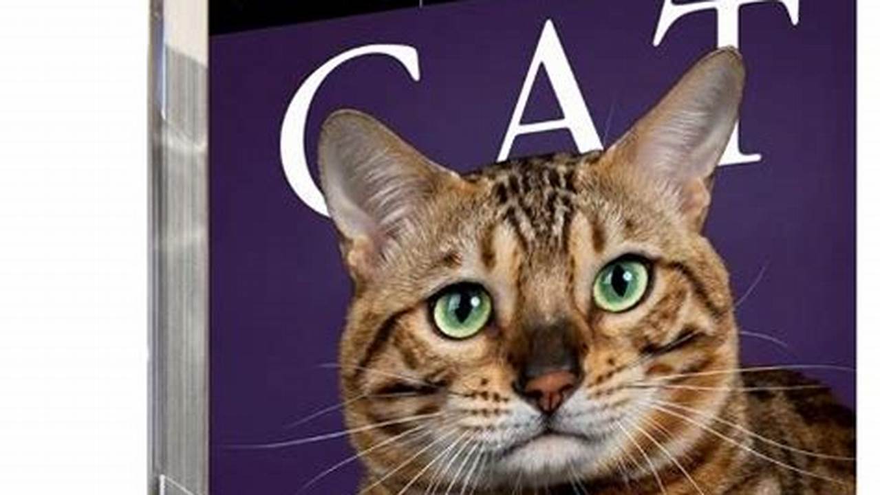 Cat Calendar 2024 Page A Day