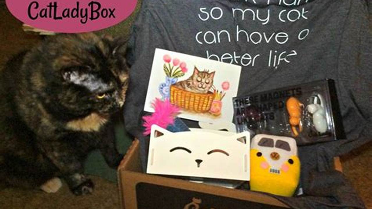 Cat Lady Box September 2024