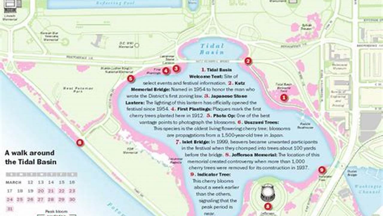 Central Park Cherry Blossoms 2024 Map