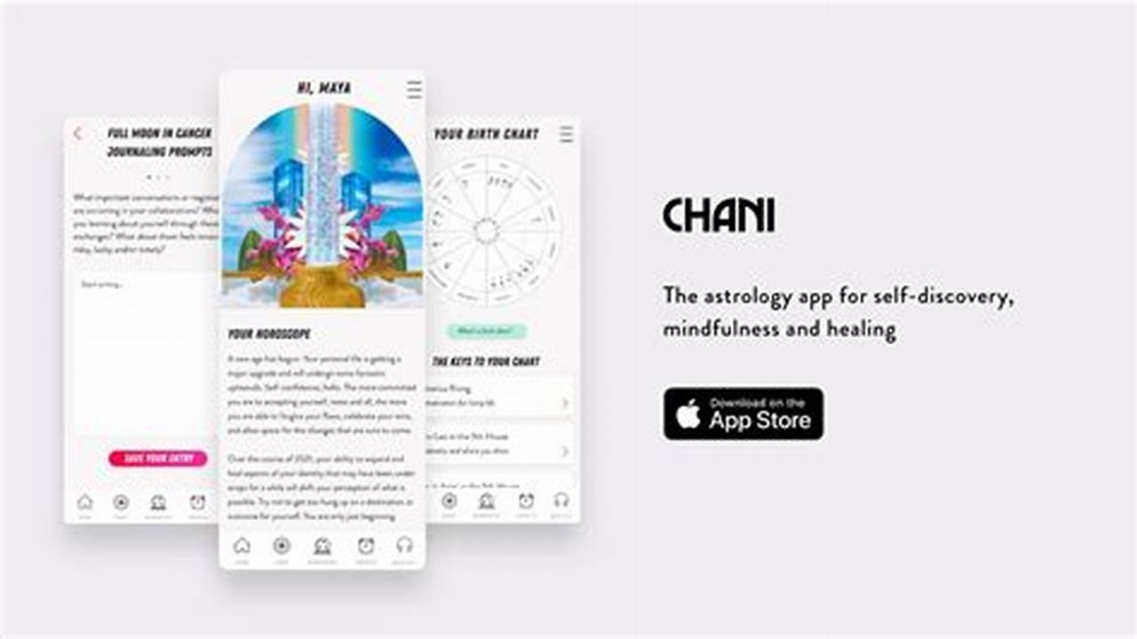 Chani App Offer Code 2024