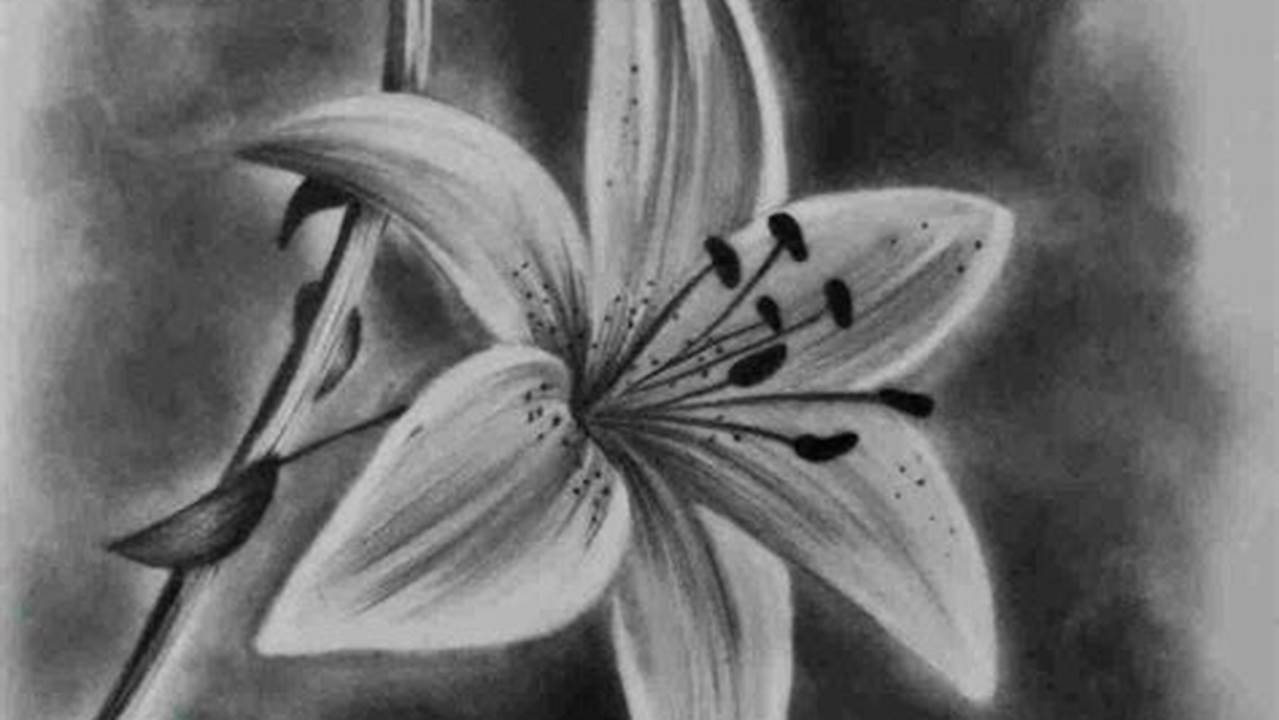 Charcoal Drawings of Flowers: Capturing the Delicate Beauty of Nature in Charcoal and Graphite