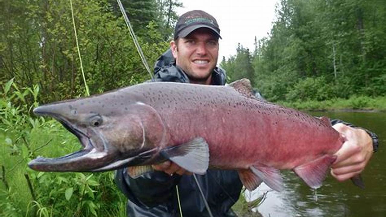 Check Out These Video On Salmon Fishing, Salmon Gear, And More From Across Alaska, Images