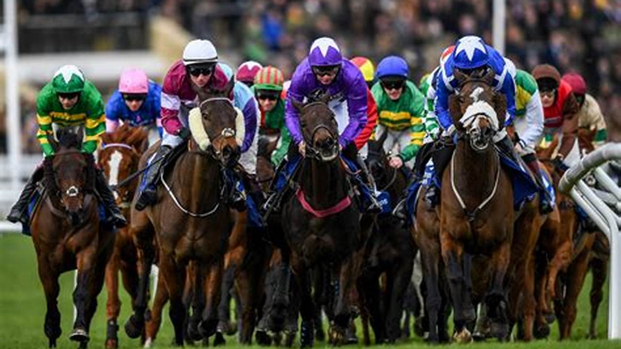 Cheltenham Races: Essential Guide for Breaking News and Updates