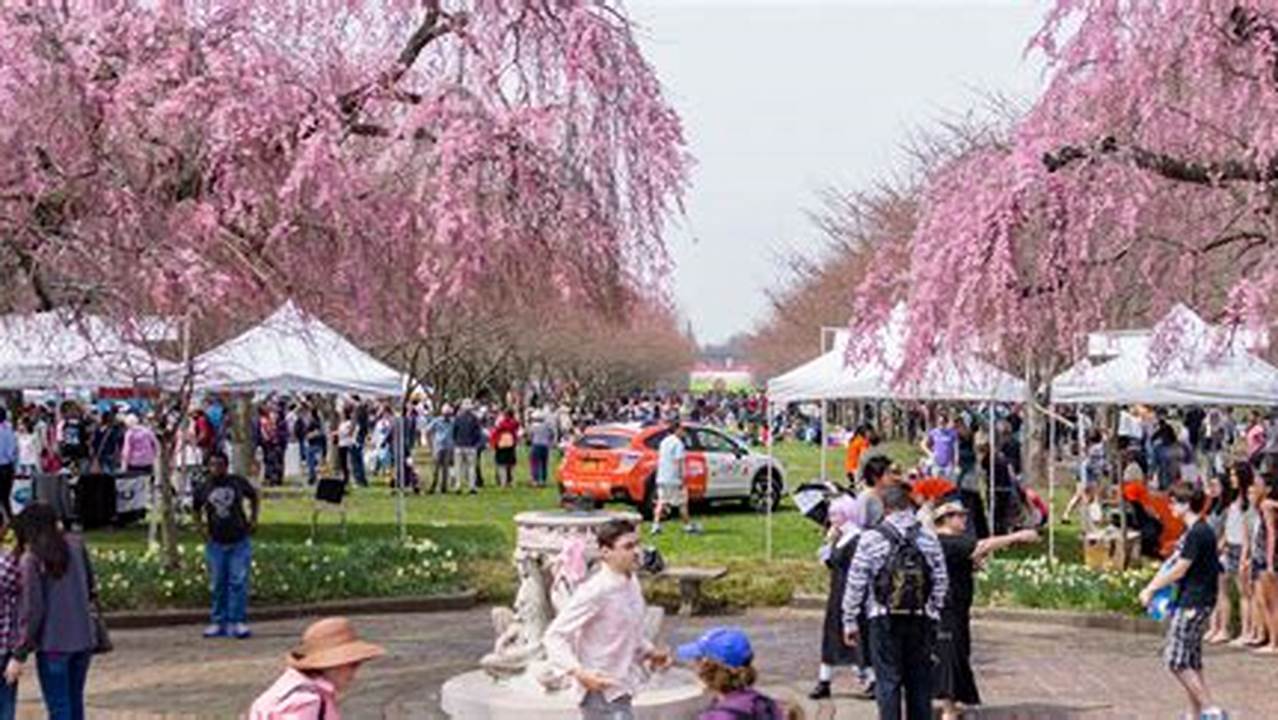 Cherry Blossom Festival 2024 Philadelphia