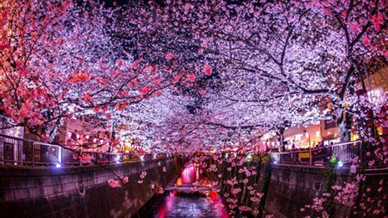 Cherry Blossom Festival Japan Dates