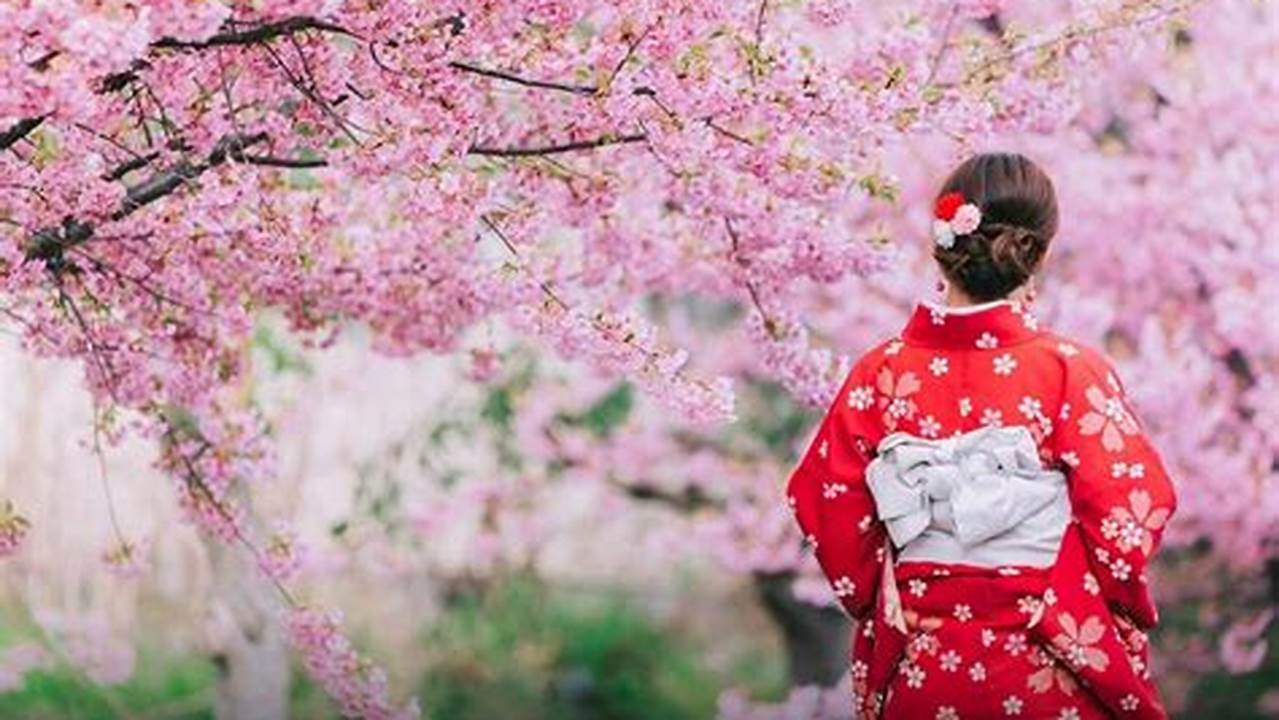 Cherry Blossom Race Dc 2024