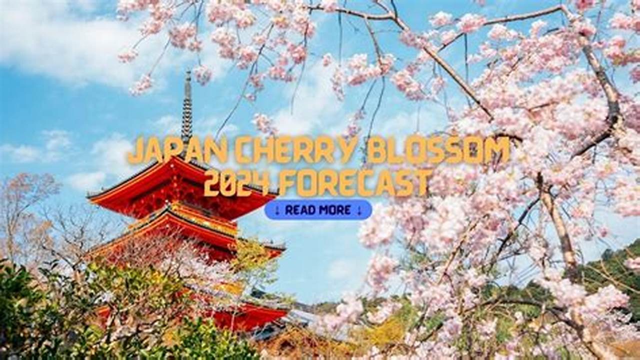 Cherry Blossom Season Usually Starts In 2024 Late March In Japan., 2024