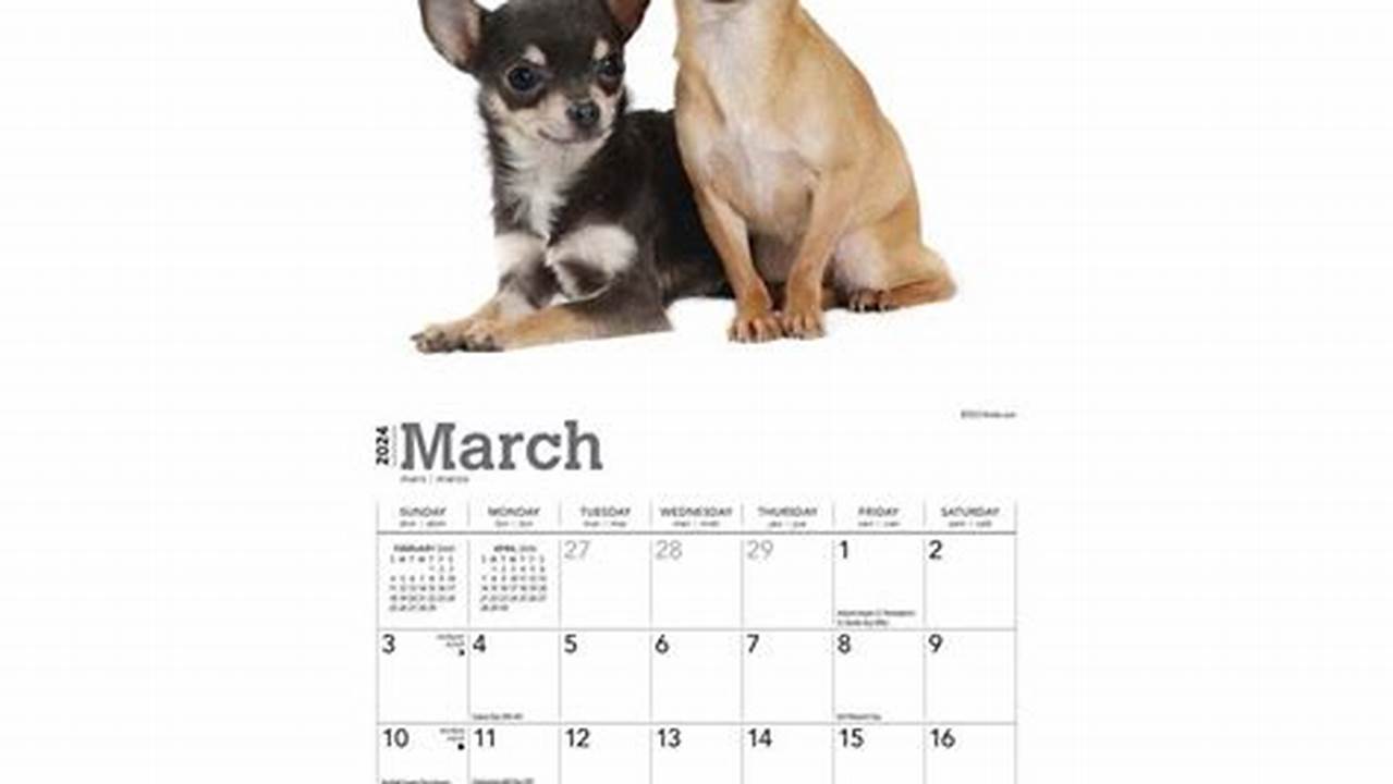 Chihuahua Mini Calendar