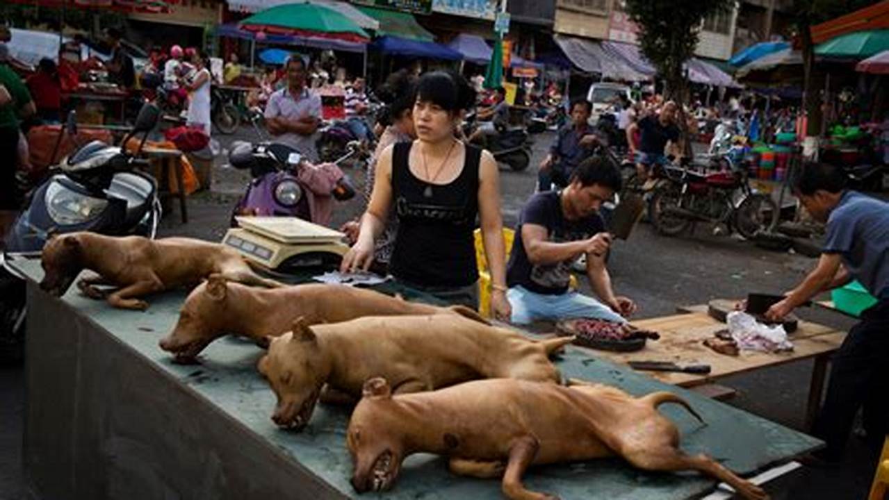 China Dog Festival 2024