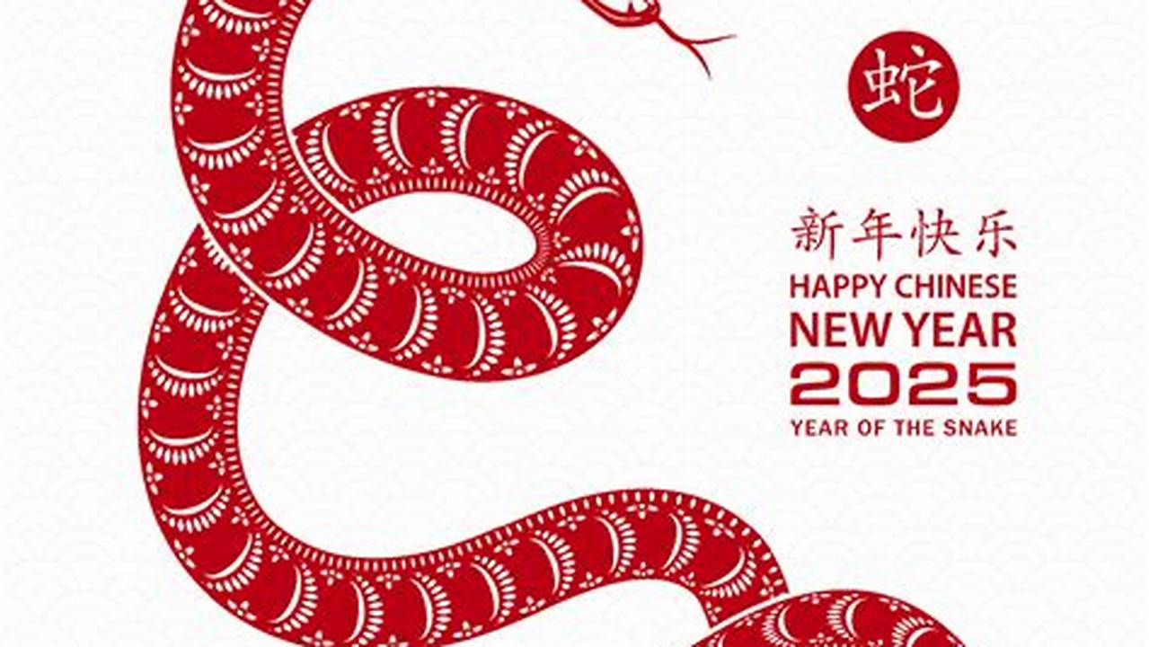 Chinese New Year 2025 Decorations