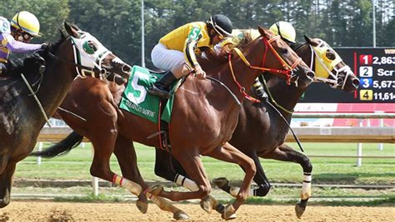 Colonial Downs Racing Schedule 2024