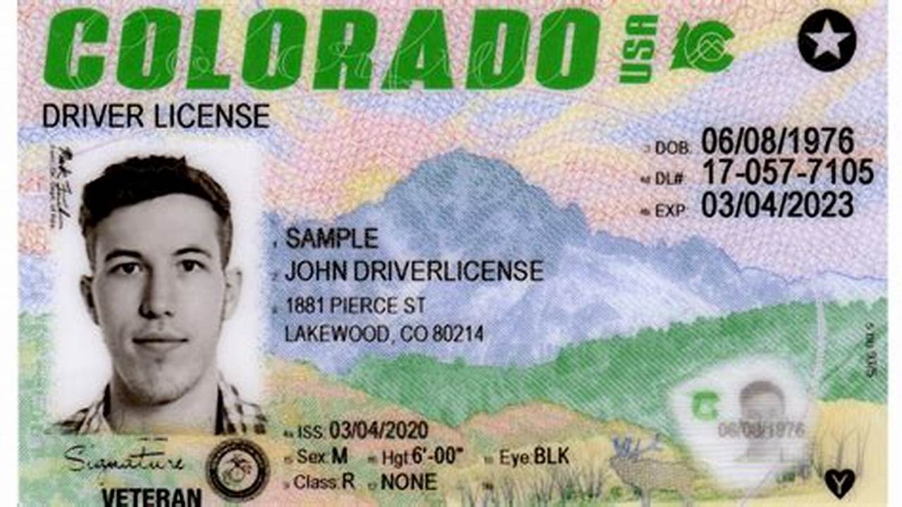 Colorado Driver's License 2024