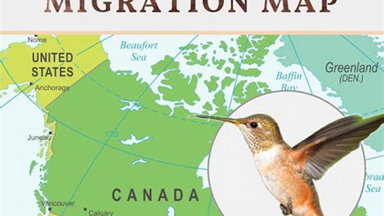Colorado Hummingbird Migration Map