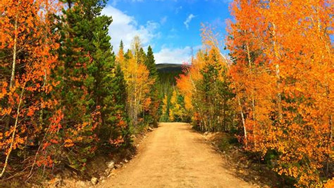 Colorado Leaves Changing 2024
