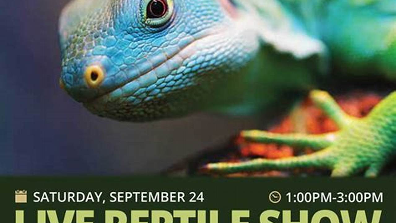 Come Visit Us At A Reptile Show Near You!, 2024