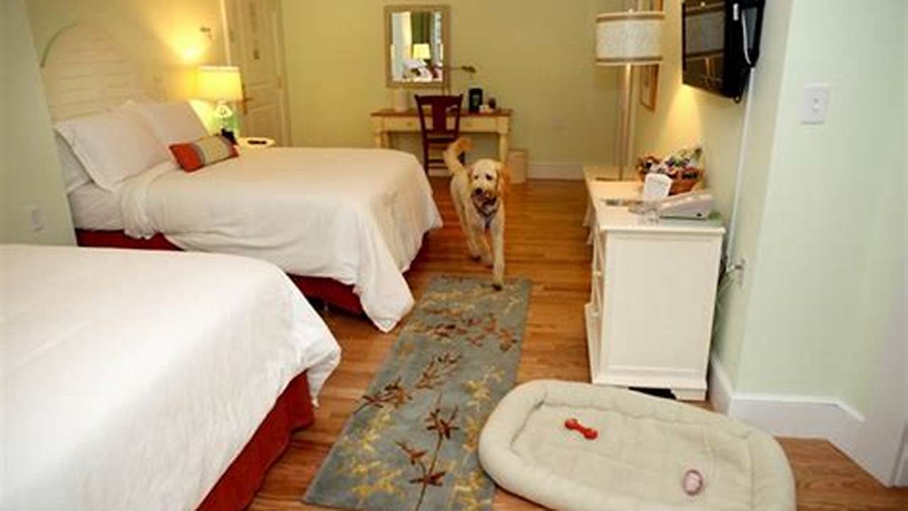Comfortable Rooms, Pet Friendly Hotel